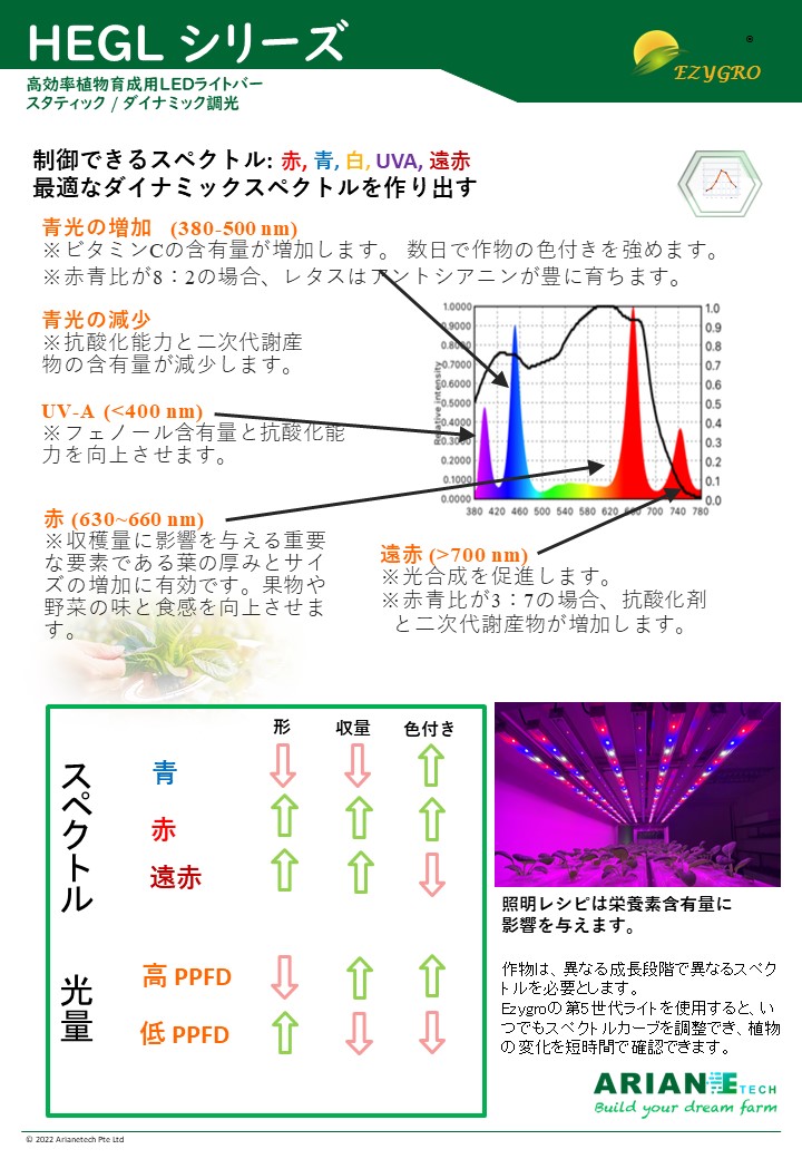 Slide5